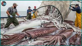 Thumbnail: Spain’s Massive Fishing Scale 💥 3,400 Tons of Seafood Caught Every 24 Hours