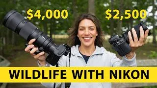 Thumbnail: Wildlife for $2,500 v $4,000: Nikon Edition
