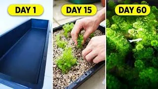 Thumbnail: The 8-Foot Planted Tank - No Co2 , no filter!