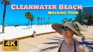Thumbnail: Clearwater Beach Walking Tour 2025 | Opal Sands to Pier 60 🏖️🌴🐚🚶