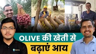 Thumbnail: NSG Commando to Organic Farmer: राजस्थान में Olive Oil की जबरदस्त कमाई | Inspiring Success Story