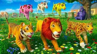 Thumbnail: Magical Cow Calf vs Lion, Tiger & Leopard 🐄🦁 Epic Wildlife Fun!