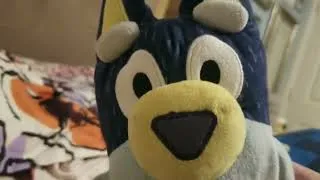 Thumbnail: The Bluey Plush Show: The Hurricane (2024)