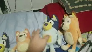 Thumbnail: The Bluey Plush Show (2024) - Intro