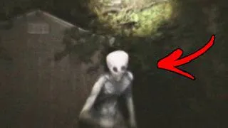 Thumbnail: Unsolved Cryptid Encounters That Defy Science