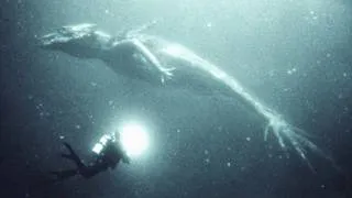 Thumbnail: Top Mysterious Creatures Spotted in Real Life