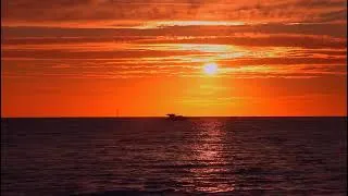 Thumbnail: Sunset Serenity🌅| Calming Sounds for Relaxation, Stress And Anxiety Relief #relaxingmusic #relaxing