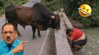 Thumbnail: Try Not to Laugh Challenge #11 🤣 Best Fails of the Week