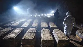 Thumbnail: The Strangest Discoveries From WW1 That Shocked The Whole World