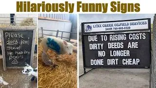 Thumbnail: Hilariously Funny Signs That Didn’t Necessarily Try to Make You Laugh