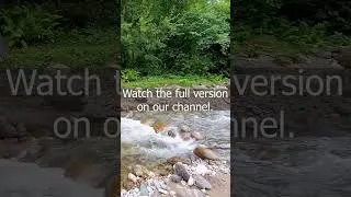 Thumbnail: River Sounds for Deep Sleep #Nature #DeepSleep #Relaxation