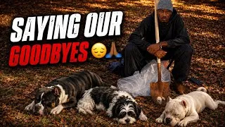 Thumbnail: ALL CLOUT AINT GOOD CLOUT IN THE DOG GAME‼️