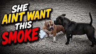 Thumbnail: HERE WE GO AGAIN🤦🏾‍♂️‼️