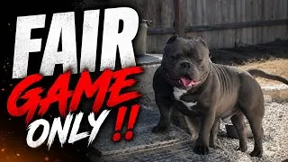 Thumbnail: HOW TAKING SHORTCUTS CAN RUIN YOUR WAY OF BREEDING ‼️