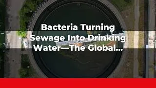 Thumbnail: Bacteria Turning Sewage Into Drinking Water—The Global Solution