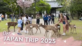 Thumbnail: Japan Trip 2025 | What an amazing place!