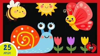Thumbnail: Baby Sensory Video | Gentle Music & Visual Stimulation for Babies