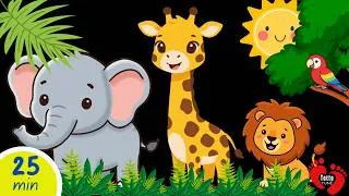 Thumbnail: Jungle Adventure for Babies | High Contrast Baby Sensory Video | Relaxing Music