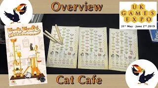Thumbnail: Cat Cafe Overview