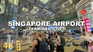 Thumbnail: The 3 Interconnected Terminals of Changi Airport! The Ultimate Guide to Terminals 1 2 3 | SINGAPORE