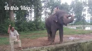 Thumbnail: Bhagwan Birsa Biological Park #ranchi #jharkhand 