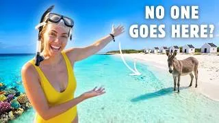 Thumbnail: Is This the Caribbean's Most UNDERRATED Island? 🐠 Bonaire Travel Guide