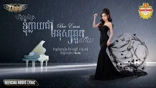 Thumbnail: បន្តិចទៀតខ្ញុំក្លាយជាមនុស្សឆ្គួតហើយ - Bee Emm - Town Official Audio Lyric