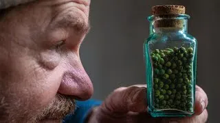 Thumbnail: The Spice Of Empires