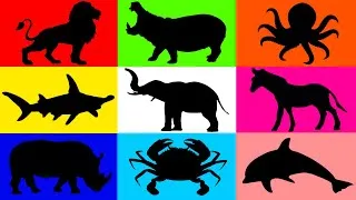 Thumbnail: Learn Animal Names For Kids Toddlers Preschoolers Educational Videos
