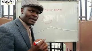 Thumbnail: A woman's brain is divided into two parts 😂|must watch #trending #comedy #viral @AwinjaNyamwalo 