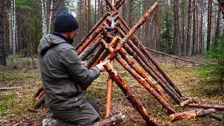 Thumbnail: The night in dense forest. I'm building a hut from improvised means.#survival #bushcraft #tracker