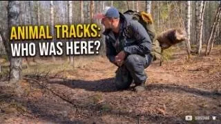 Thumbnail: Backcountry Bushcraft Trip: Exploring the Wild Spring Forest #tracker  #bushcraft #survive #hiking