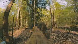 Thumbnail: I Found a Hidden Forest and Stayed There