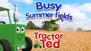 Thumbnail: Busy Summer fields ☀️🚜 | Tractor Ted Official