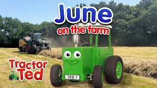 Thumbnail: June on the Farm | Tractor Ted Official 🚜