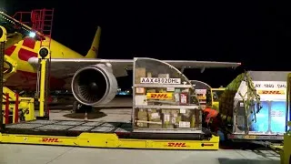 Thumbnail: Inside DHL: Life-Saving Deliveries and the Race to the Doomsday Vault