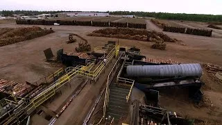Thumbnail: Inside the Dangerous World of Logging and Sawmill Work
