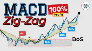 Thumbnail: 🔴 I Combined MACD + ZigZag + Moving Average... The Results Were Shocking