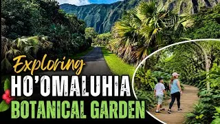 Thumbnail: Exploring Ho’Omaluhia Botanical Garden - Hidden Paradise