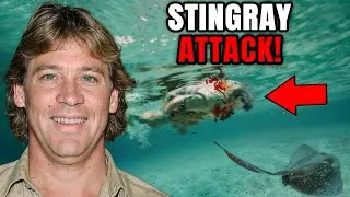 Thumbnail: The FATAL Last Moments of Steve Irwin “The Crocodile Hunter”