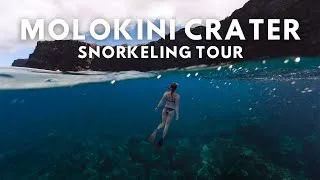 Thumbnail: Molokini Crater Snorkeling Tour | What to Expect, Honest Tips & Whale Watching in Maui