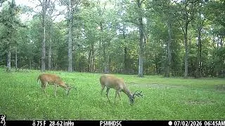 Thumbnail: Browning Defender Wireless Pro Scout Max HD Solar