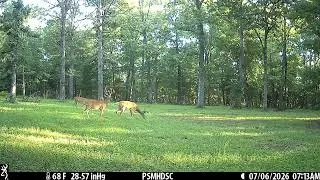 Thumbnail: Browning Defender Wireless Pro Scout Max HD Solar