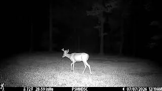 Thumbnail: Browning Defender Wireless Pro Scout Max HD Solar