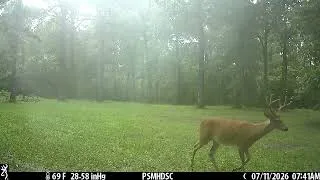 Thumbnail: Browning Defender Wireless Pro Scout Max HD Solar