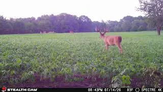 Thumbnail: Stealth Cam Spectre 4K Pro