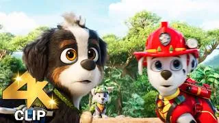 Thumbnail: Rex Is Friends With T Rex | PAW PATROL 3 THE DINO MOVIE (2026) MOVIE CLIP 4K