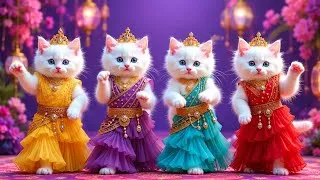 Thumbnail: बिल्ली का डांस वीडियो | Cat videos | funny cat dance 😻💃| Videos for cats billi dance | #dancingcat