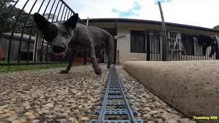 Thumbnail: 2021 LEGO Train Set Best Moments