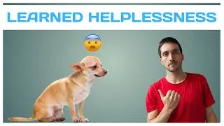 Thumbnail: Learned Helplessness Explained (Dog Training & Behaviour Science)